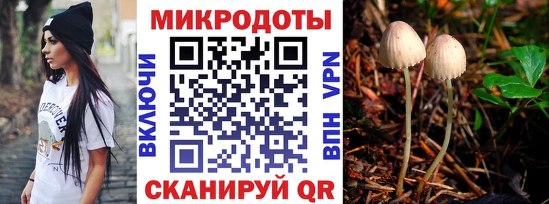 закладка  Луза  Псилоцибиновые грибы прущие грибы 
